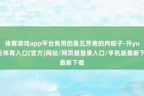 体育游戏app平台我用的是五芳斋的肉粽子-开yun云体育入口(官方)网站/网页版登录入口/手机版最新下载