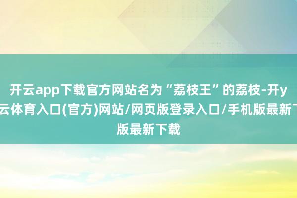 开云app下载官方网站名为“荔枝王”的荔枝-开yun云体育入口(官方)网站/网页版登录入口/手机版最