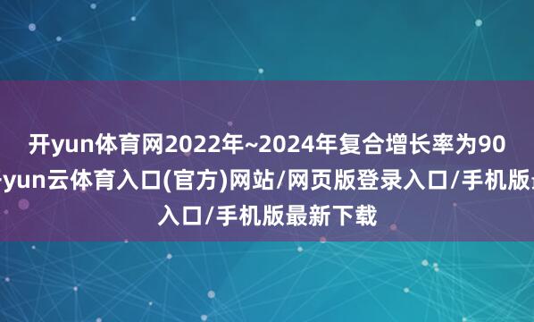 开yun体育网2022年~2024年复合增长率为90.49%-开yun云体育入口(官方)网站/网页版登录入口/手机版最新下载
